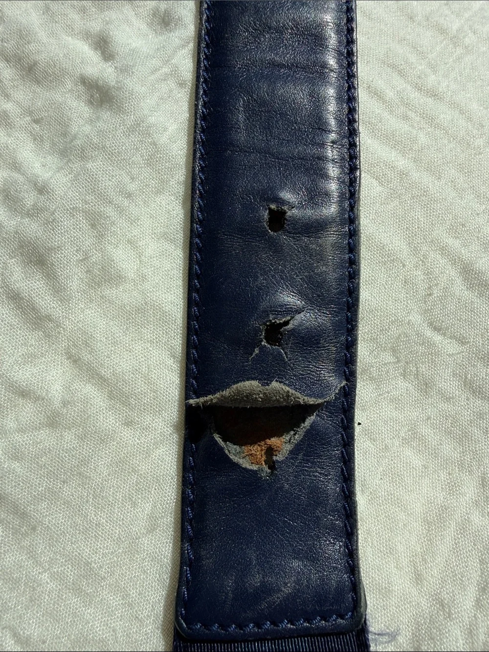 Gucci Navy Web Belt with Silver Double G Buckle